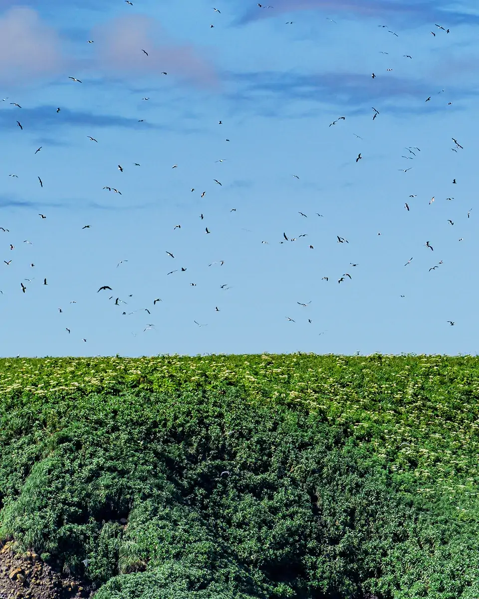 落石沖_ユルリ島